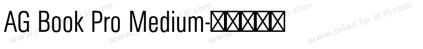 AG Book Pro Medium字体转换